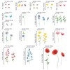 DECOWALL DS9-2103 Wild Flowers Wall Sticker Decor Kindergarten Nursery Room