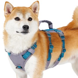 Huntboo Reflective Dog Harness with Handle, Escape Proof, No Slip, Breathable, Lightweight, Adjustable Lift Harness for Small, Medium, and Large Dogs Walking, Training, and Running Gear(Teal Blue,S)