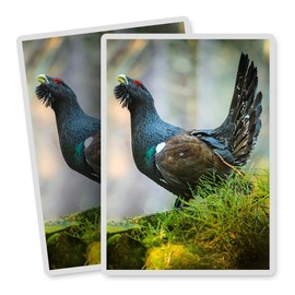 Vinyl Rectangle Vertical (Portrait) Stickers (Set of 2) 10cm - Capercaillie Bird Wildlife Nature Forest for Laptops, Tablets, Luggage, Scrap Booking, Fridges #50454