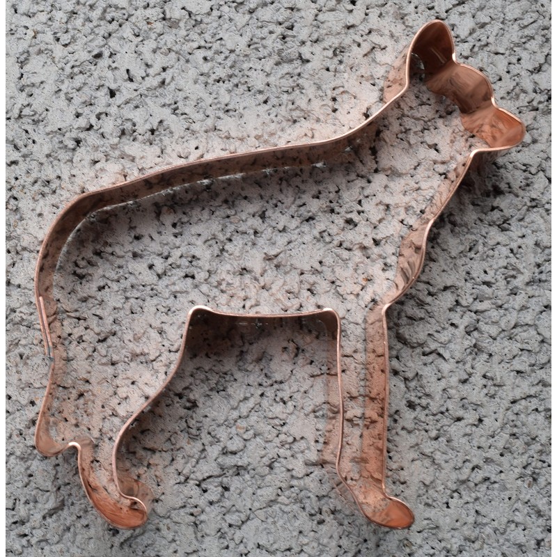 African Painted Dog ~ Zoo Mammals ~ Copper Animal Cookie