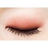 excel Skinny Rich Eye Shadow SR11 (Brick Brown) Palette Eye