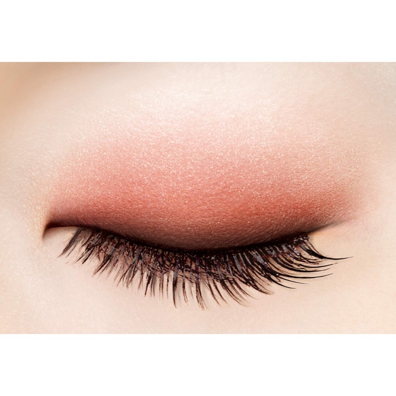 excel Skinny Rich Eye Shadow SR11 (Brick Brown) Palette Eye
