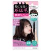 PT43326 Quick Repair Brush, Quick Repair Brush, Hair Styling, Bangs