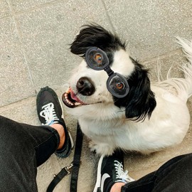 Enjoying Dog Glasses Replaceable, Dog Eye Protection Goggles, Adjustable Strap, UV Protection, Sunglasses for Medium Dog