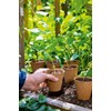 Growing Pot 6 cm Pots Round (pack of 96 pots)