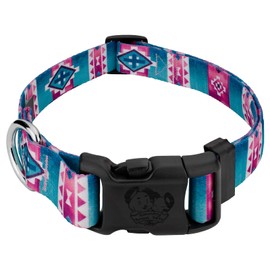 Country Brook Petz - Deluxe Albuquerque Dog Collar - Made in The U.S.A. - Country and Western Collection Featuring Rustic Designs (1 Inch, Medium)