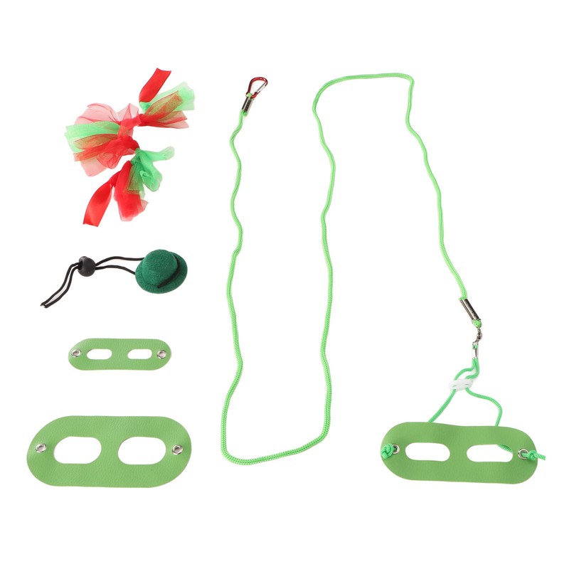 Reptile Pet Leash Kit Christmas Reptile Harness with Skirts Hat