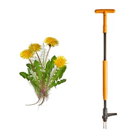 Stand Up Weed Puller Tool with Long Handle - 39” Ergonomic Weeder Puller - Heavy Duty Weed Remover for Weeding Without Bending or Kneeling - Garden Tools for Gardening by Garret Wade