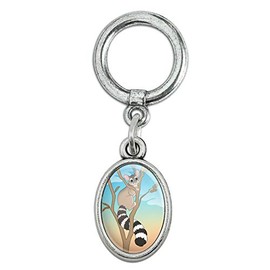 GRAPHICS & MORE Ring-tailed Cat Shoe Sneaker Shoelace Oval Charm Jewelry