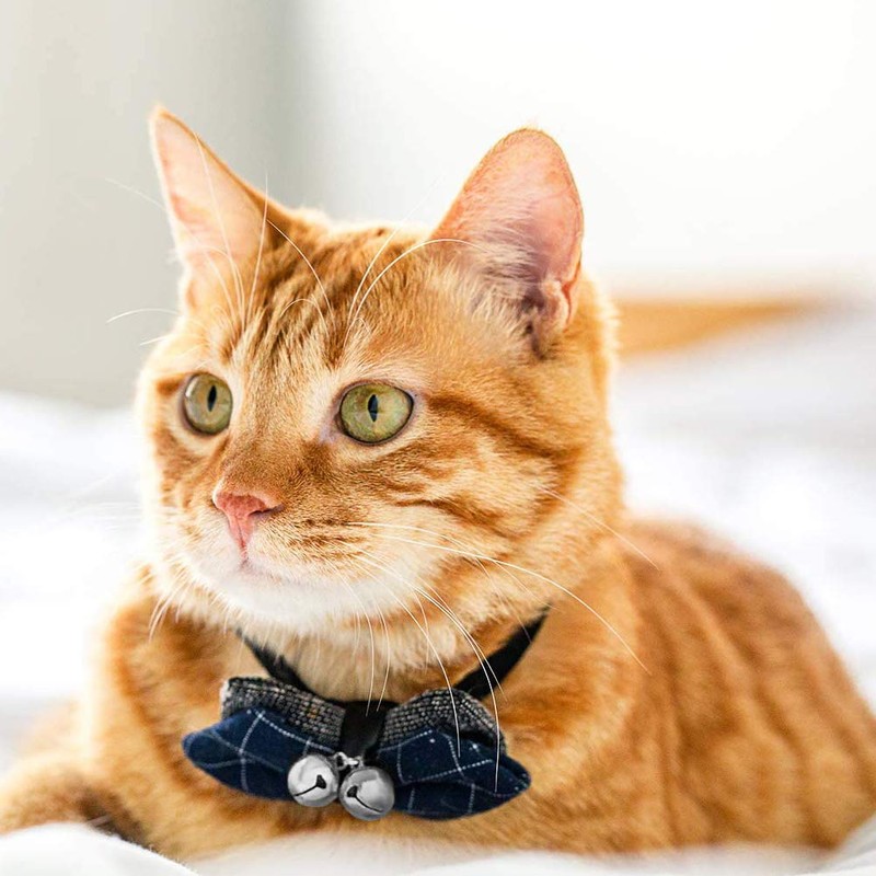 Suithink 6 Pieces 16MM SilverPet Collar Bells, Cat Dog Collar