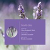 Aera Mini Lavender - Essential Oil for Home - Calming