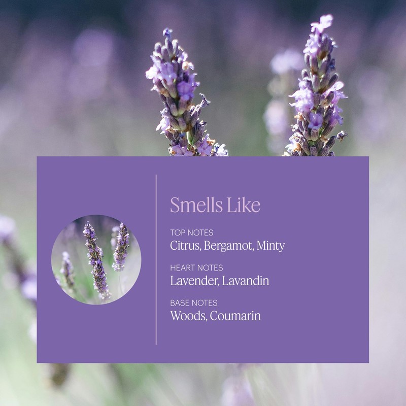 Aera Mini Lavender - Essential Oil for Home - Calming