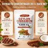 GWYNNE - Ceylon Cinnamon 300 Capsules 20:1 con Aceite MCT,alta