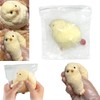 Norhogo Chick Squeeze Taba Squishy Toy, Small Chicken Fidget Toy,