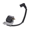 Handheld Leaf Blower Ignition Coils 42294001300 OEM Leaf Blower Engine