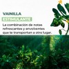 Yves Rocher Kit (Set) de 2 Cremas Corporales Fluidas e