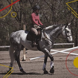 Kavallerie Classic Tendon Boots, Impact-Absorbing Material, Breathable & Evenly Distribute Pressure, Protect Tendon and Ligaments, Anti-Slip, Anti- Sore and Moisture Repellant Show Jumping Boots - M