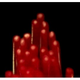 SWISSDENT PROFI COLOURS Zahnbürste soft-medium | Farbe blau& blau| Ausgezeichnete & patentierte Zahnbürste