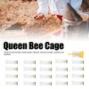 Queen Bee Roller Cage Plastic Rearing Cup Marking Bottle Beekeeping