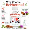 Berberine Supplement for Daily Wellness – Immune Support Capsules for