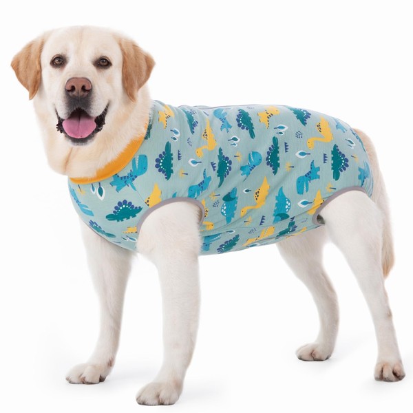 kzrfojy Dog Surgery Recovery Suit Dog Surgical Onesie for Female