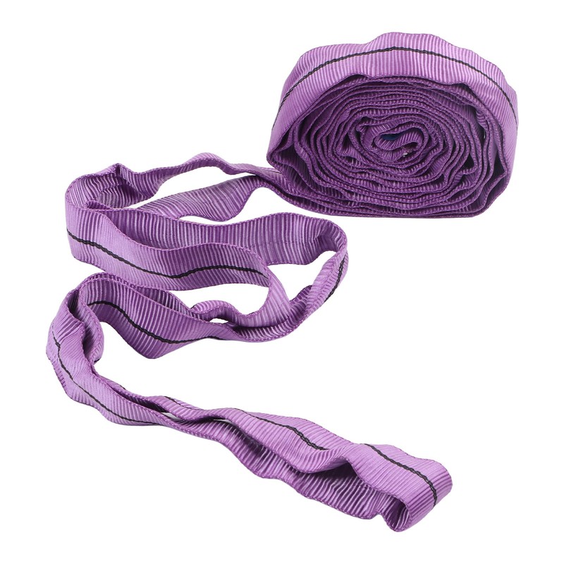 Lifting Sling Hoist Webbing 1T Polyester Rigging Strap Purple for