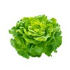 Lettuce Fertilizer
