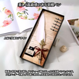 Charmoon Quill Pen Antique Ink Bottle Gift Box Set Fountain Pen Quill Natural Feather Dip Pen (White)