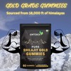 LEAFTOUCH Shilajit Gold Gummies | Masala Cola Flavour | Every