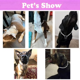 Dog Choke Collar For Large Dogs, Dog Chain Collars Slip P Chain Choke Metal Link Training Heavy Duty Martingale Dog Collar For XS Small Medium Large Big XL Breed Dogs, L