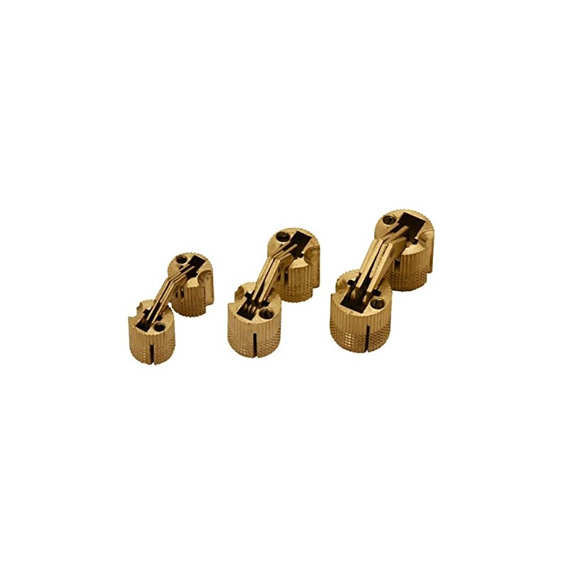 Zysa Cylinder Hinge Brass Hole Diameter 12 mm