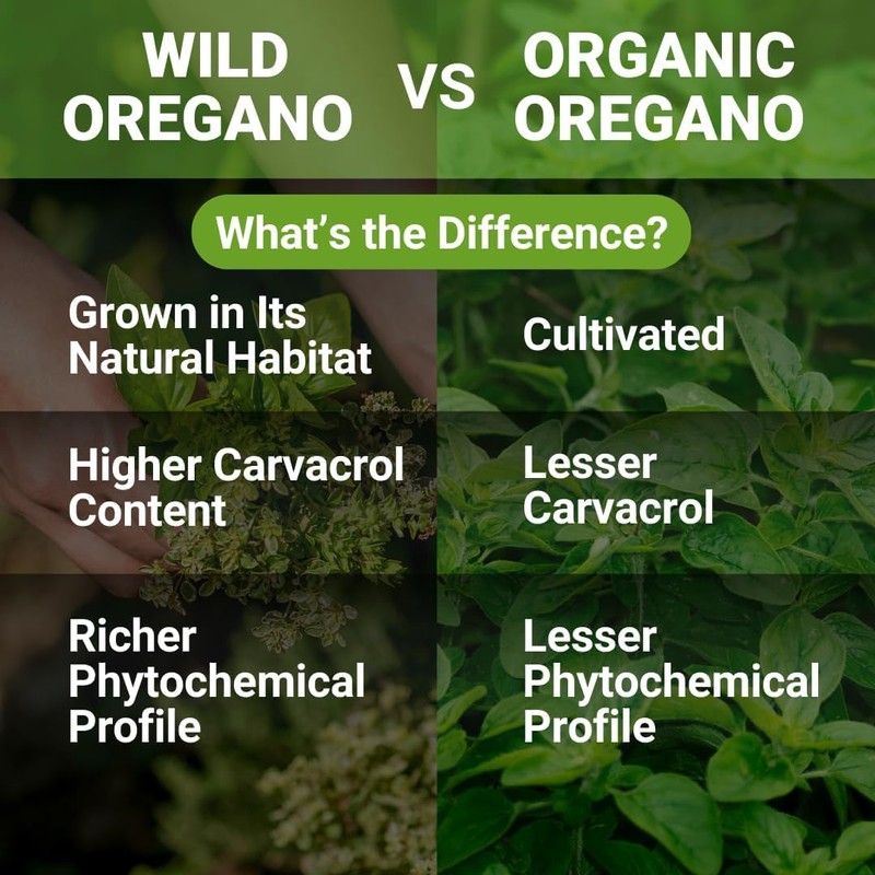 NEW ROOTS HERBAL Wild Oregano Oil Tincture with Garlic (1