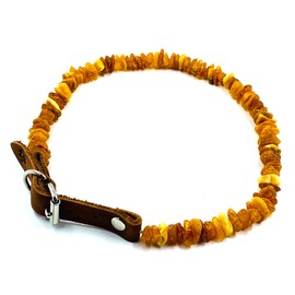 Baltic Amber Dog Collar Made with Natural Baltic Amber Beads Unpolished, Amber