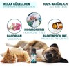 Saint Nutrition® Relax Beads for Pets - Natural Food Additive