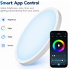 HomeKit Smart LED Ceiling Lights RGBCW Color Changing Ceiling Light
