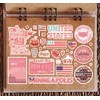 A5 Sticker Sheet Minneapolis Landmarks Vinyl Stickers - Pink Minnesota