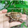 WOO MANTO Turtle Figurine 6.5 cm Long - Small Animal