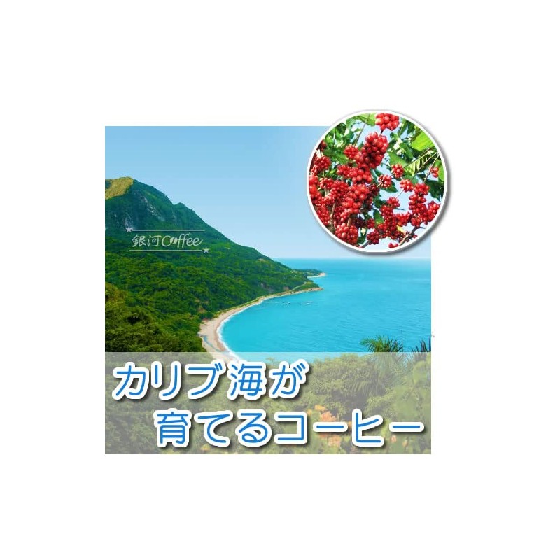 Coffee Raw Beans Caribbean Sky Dominica (Barahona Specialty AA) Galaxy