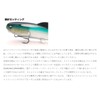 RAIDJAPAN OS05 Osakana Swimmer 5.7 inches (145 mm)