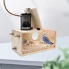 Bird House Incubator, Bird Nesting Box with Heat Lamp, 75W