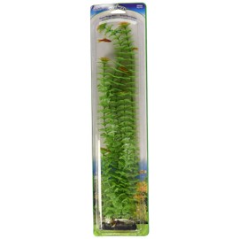 Penn Plax Ambulia Aqua Plant