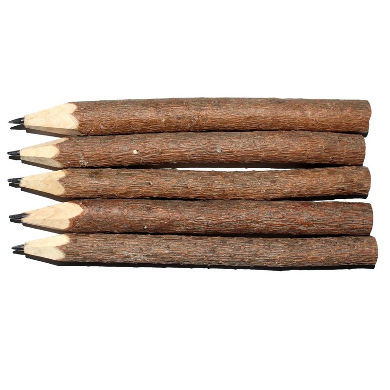 Abcsea 10PCS Wooded Pencil, Advanced Creative Original Ecological Handmade Wood