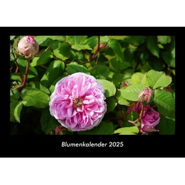 Blumenkalender 2025 Fotokalender DIN A3: Monatskalender mit Bild-Motiven aus Fauna und Flora, Natur, Blumen und Pflanzen