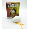 Fábrica del Juego Huevo De Excavación De Dinosaurio