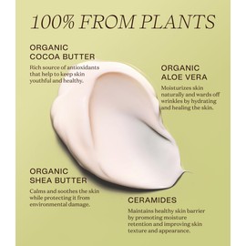 Ingreendients Ingreendients Organic Shea Butter Hand & Body Lotion For Dry and Sensitive Skin C Non Toxic, Vegan, Cruelty-Free, Natural, Gluten Free, Effectively Moisturizes and Rejuvenates Skin C 1 Pack