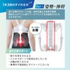 【柔道整復師推奨】RELAXEE 腰サポーター 骨盤ベルト コルセット 腰ベルト 猫背 反り腰 男女兼用 プレゼント リラクシー