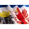 PHENO FLAGS Mecklenburg-Vorpommern Flag - Federal State Flag with Brass