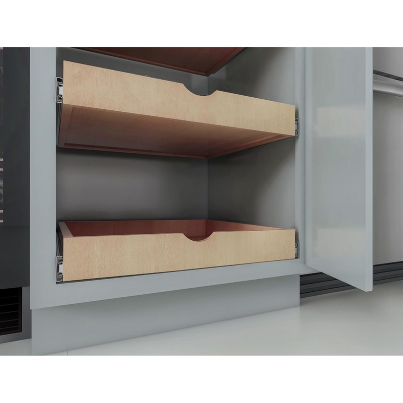 Elysian Roll-Out Shelf Organizer, 20" W × 21" D Cabinet