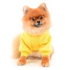 SMALLLEE_LUCKY_STORE Puppy Fleece Sweatshirt Sweater Cute Bear with Ears for