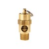 TOPRING 09.310 ASME Brass Compressed Air Safety Valve, 1/4(M) NPT